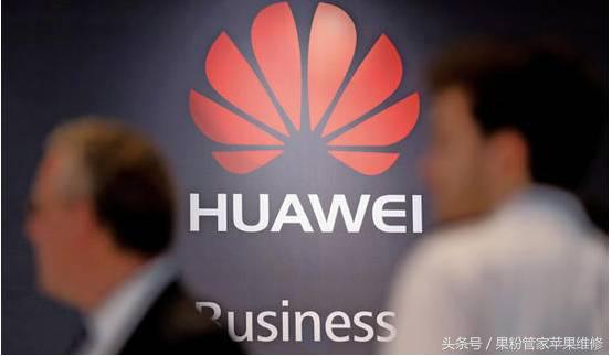 无敌寂寞啊！忠诚度苹果排NO.1