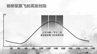 来一罐北京柳絮吧！从如何防絮看创业商机