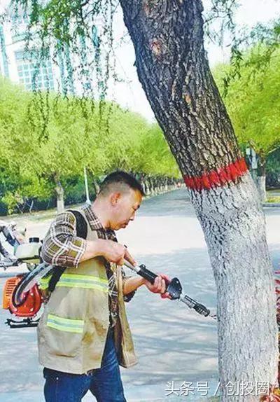 来一罐北京柳絮吧！从如何防絮看创业商机