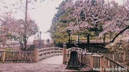 在日本的留学生要关注的事,在日本留学生可以做什么生意