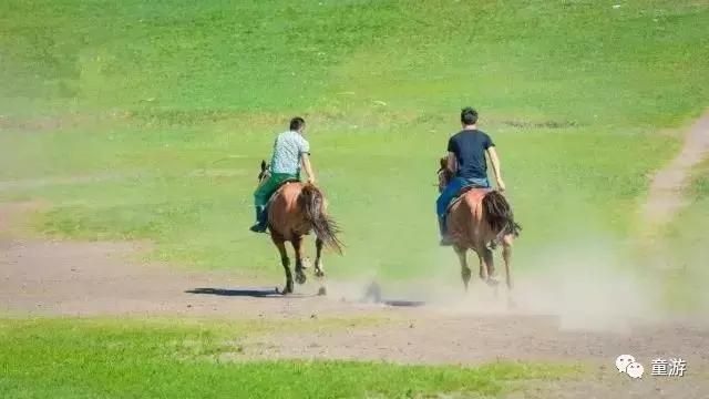 在草原骑马狂奔,在大草原策马驰骋
