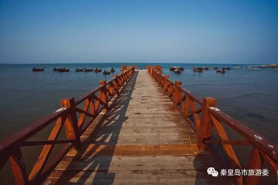 给所有秦皇岛人，这里有一份春天请你查收！