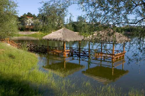 旅游度假村绿地规划设计,温泉度假村景观效果图