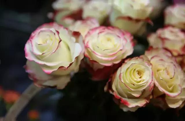 宜昌居然还有这样“见不得人”的花花世界？