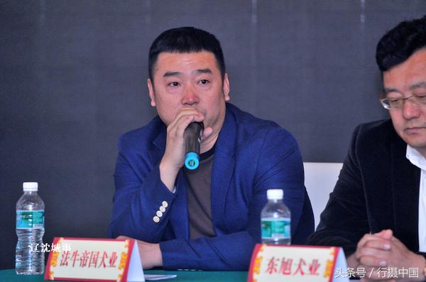 西敏寺犬展法国斗牛,法国国际肉牛博览会