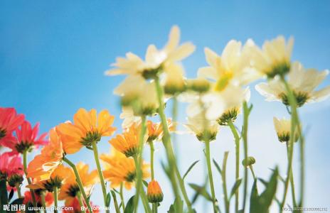 无线合肥早报丨合肥一绿化带里“藏着”200辆破损共享单车