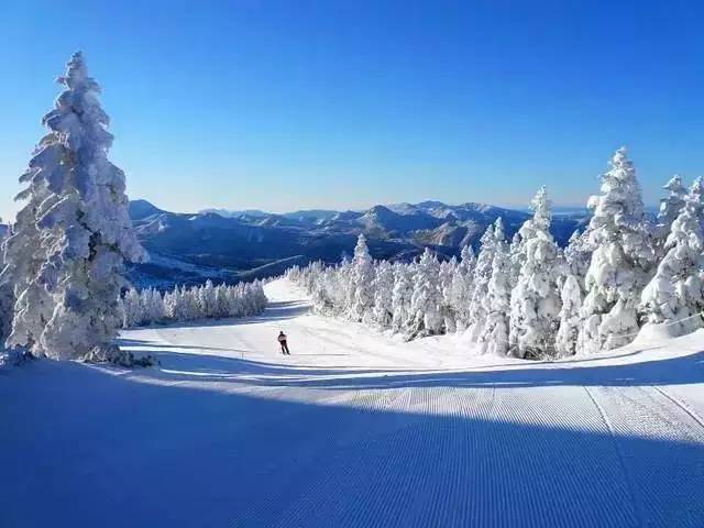 十大滑雪场排名,日本十大滑雪品牌排行