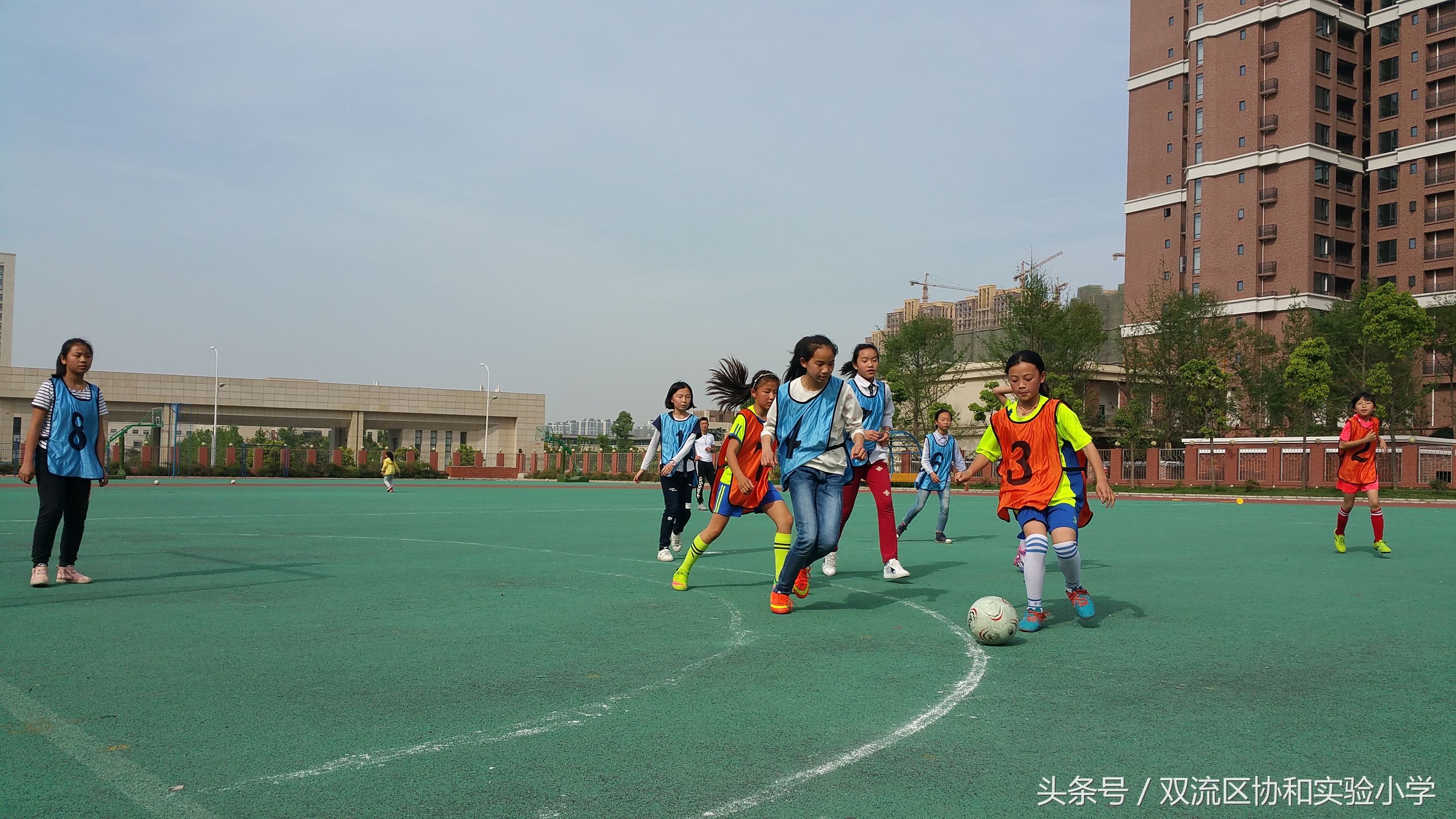 成都市双流区校园足球联赛2021,双流区实验小学足球联赛开球