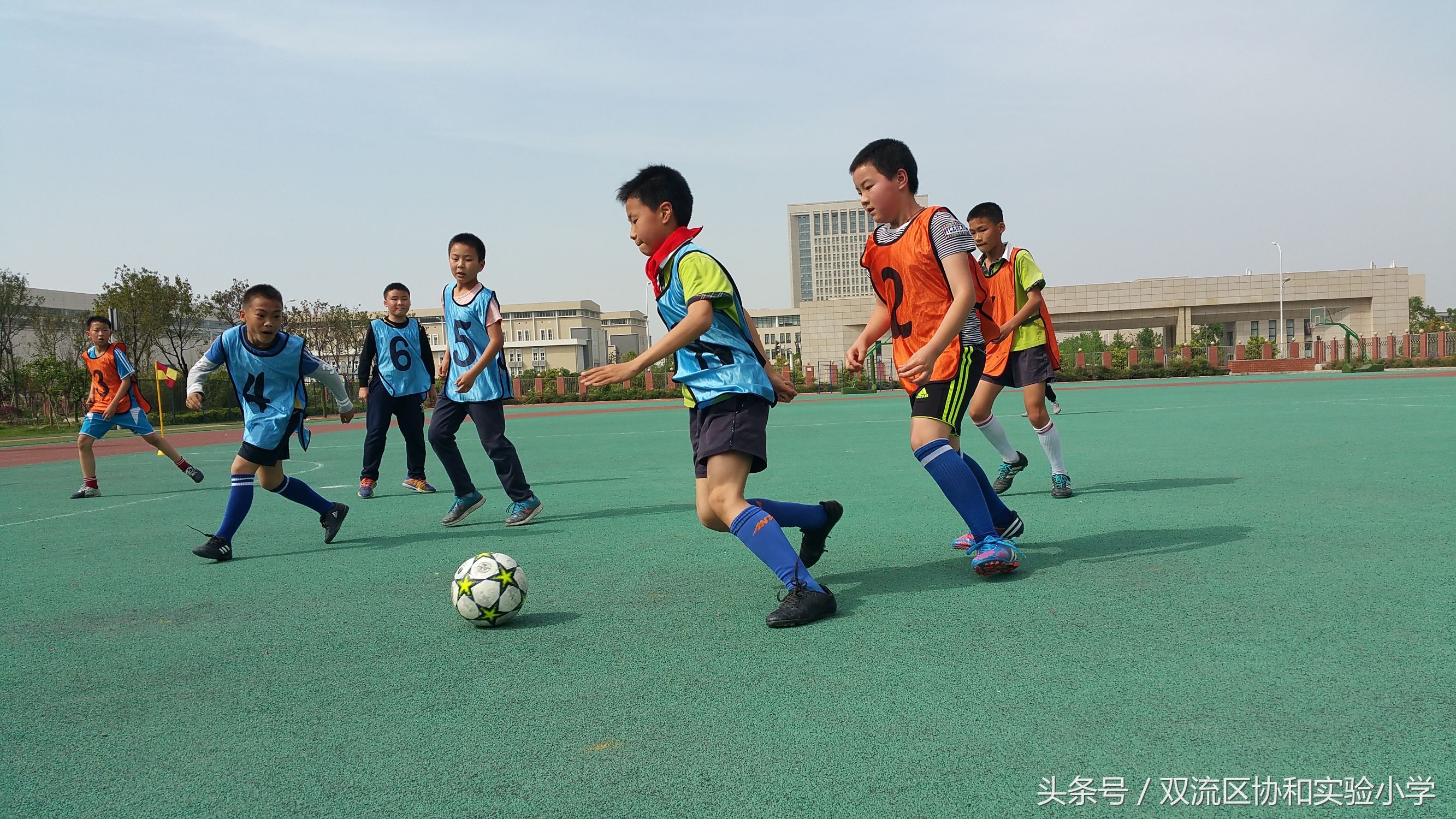 成都市双流区校园足球联赛2021,双流区实验小学足球联赛开球