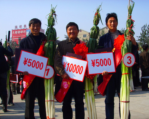 济南几大怪,济南10大怪