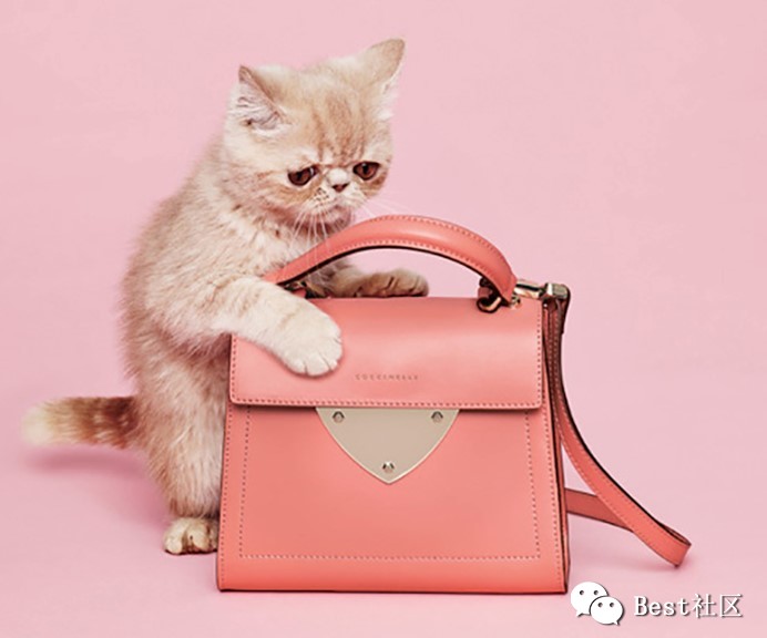 劳动最光荣！如何花5000块犒劳自己一个大牌包包？