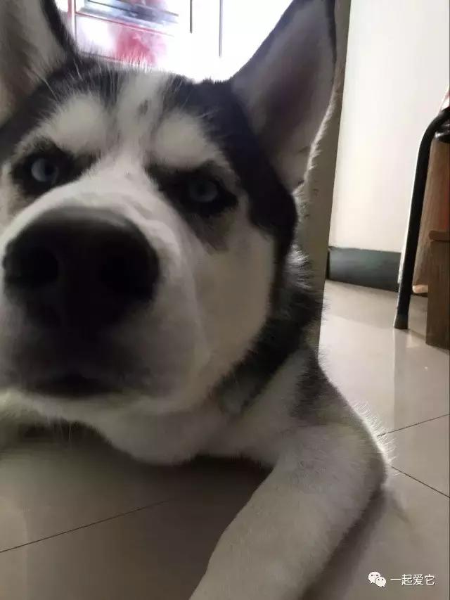 宠爱每一个故事,宠爱故事梗概