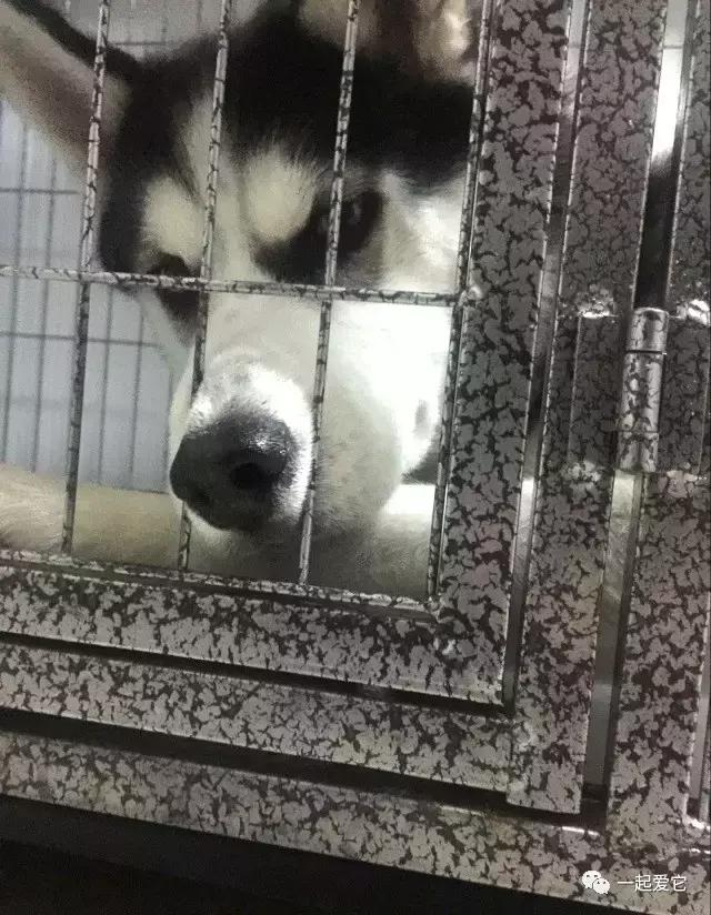 宠爱每一个故事,宠爱故事梗概