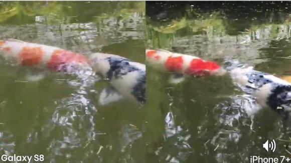 涓夋槦s8涓巌phone7plus瀵规瘮,iphone7plus鍜宨phone8plus鍖哄埆