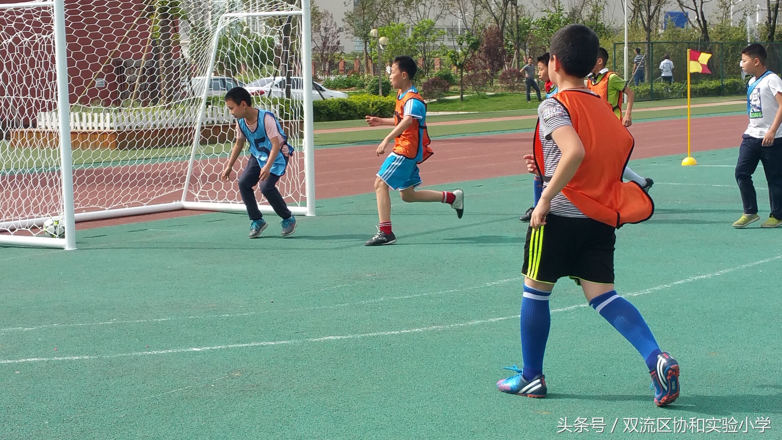 成都市双流区校园足球联赛2021,双流区实验小学足球联赛开球