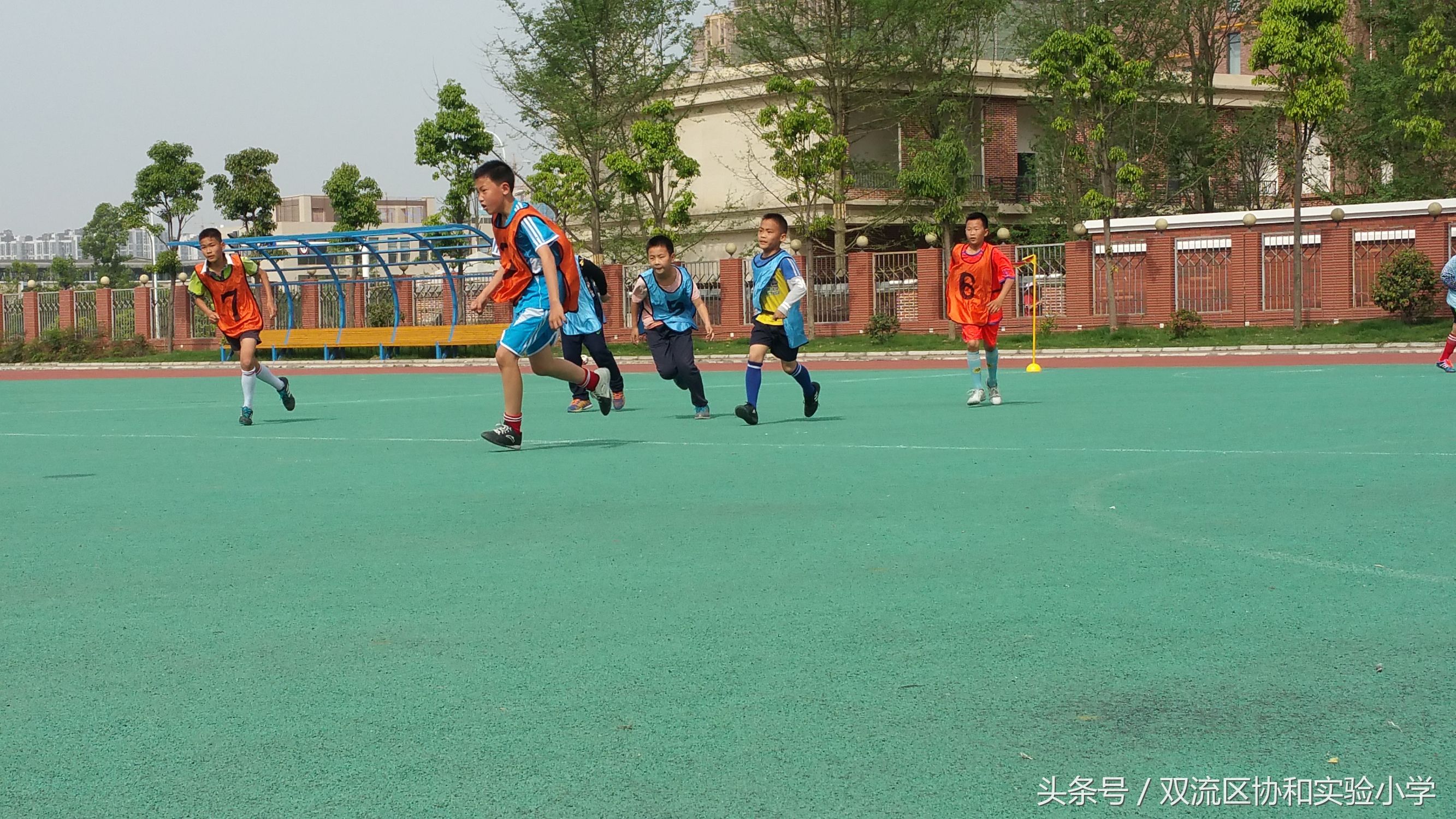 成都市双流区校园足球联赛2021,双流区实验小学足球联赛开球