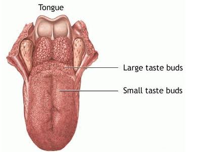 口腔溃疡寻医问药,求医口腔溃疡