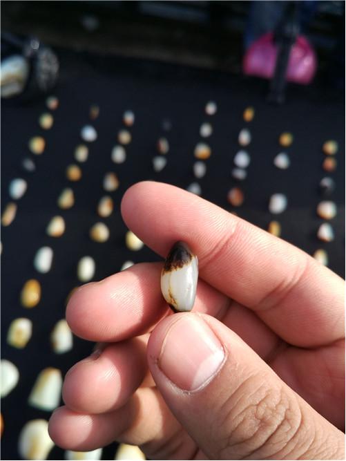 和田玉羊毛鞋垫,和田玉游记视频