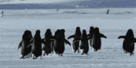 银川花博园郁金香花海,银川花博园游览图