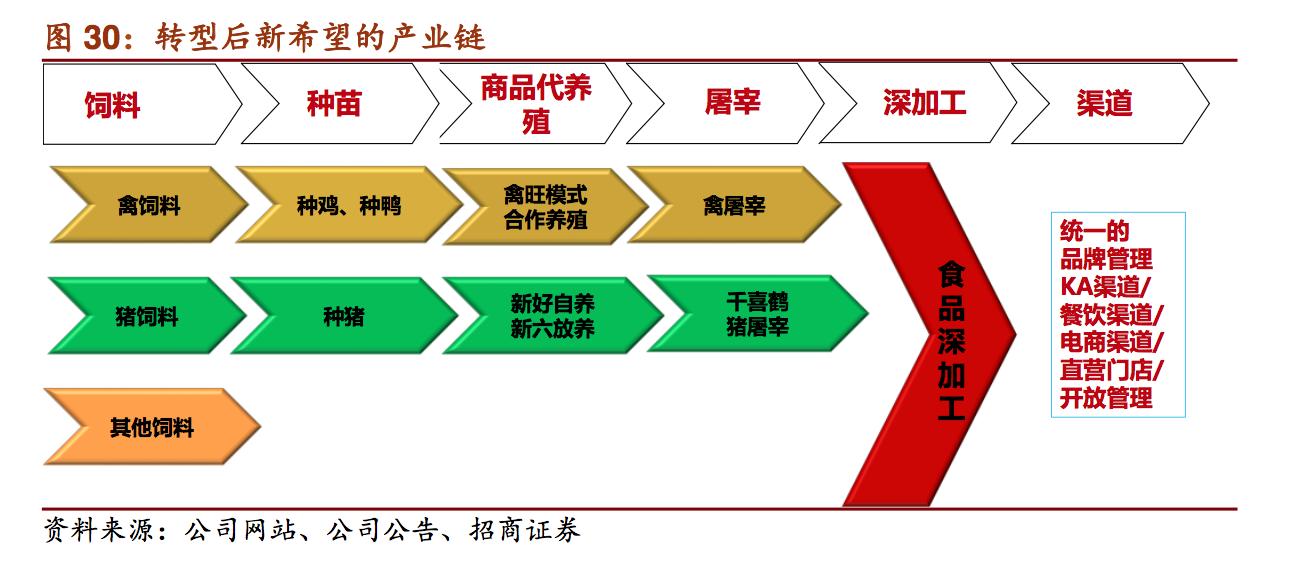 新希望饲料发展,新希望集团案例分析