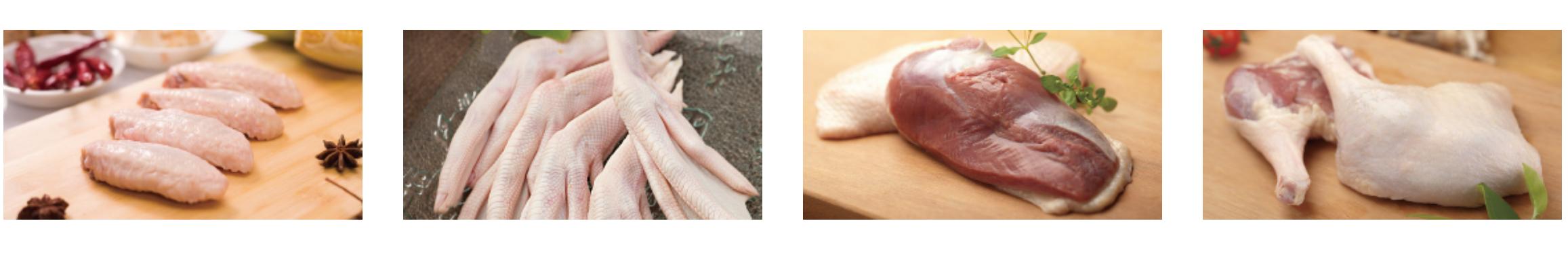 新希望饲料发展,新希望集团案例分析