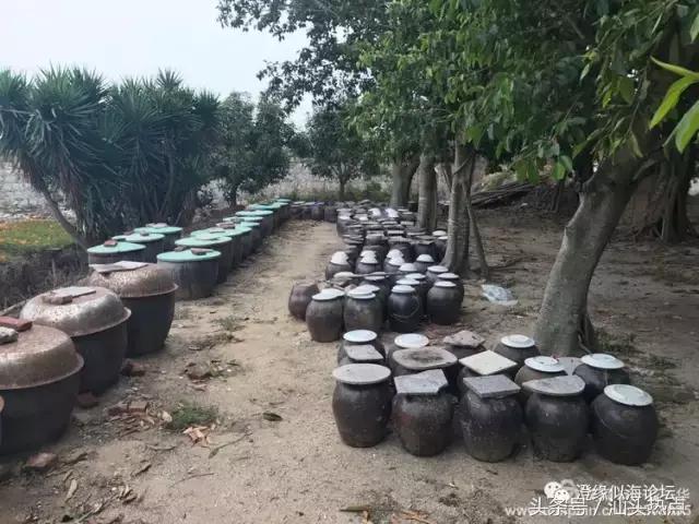 澄海外埔珍藏上百年的浪险技艺，今天终于被曝光了！