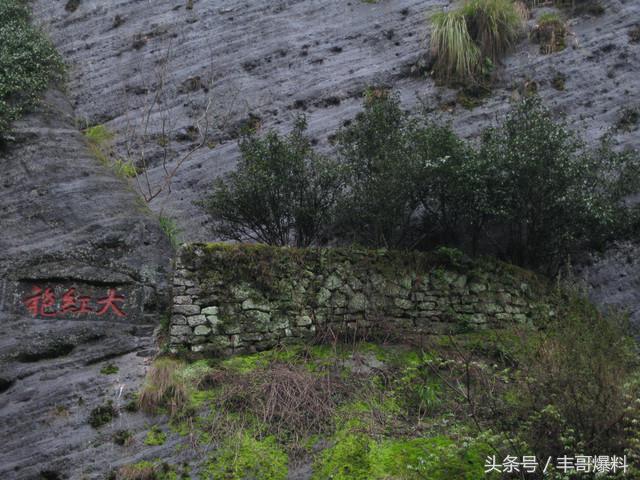武夷山著名景点有哪些,武夷山大安源旅游景点