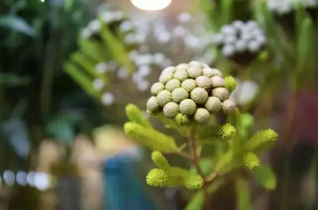 宜昌居然还有这样“见不得人”的花花世界？