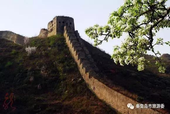 给所有秦皇岛人，这里有一份春天请你查收！