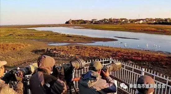 给所有秦皇岛人，这里有一份春天请你查收！