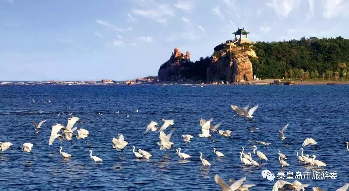 给所有秦皇岛人，这里有一份春天请你查收！