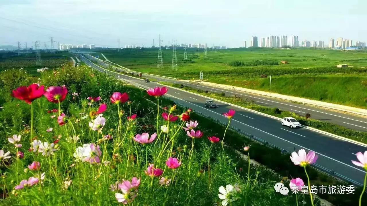 给所有秦皇岛人，这里有一份春天请你查收！