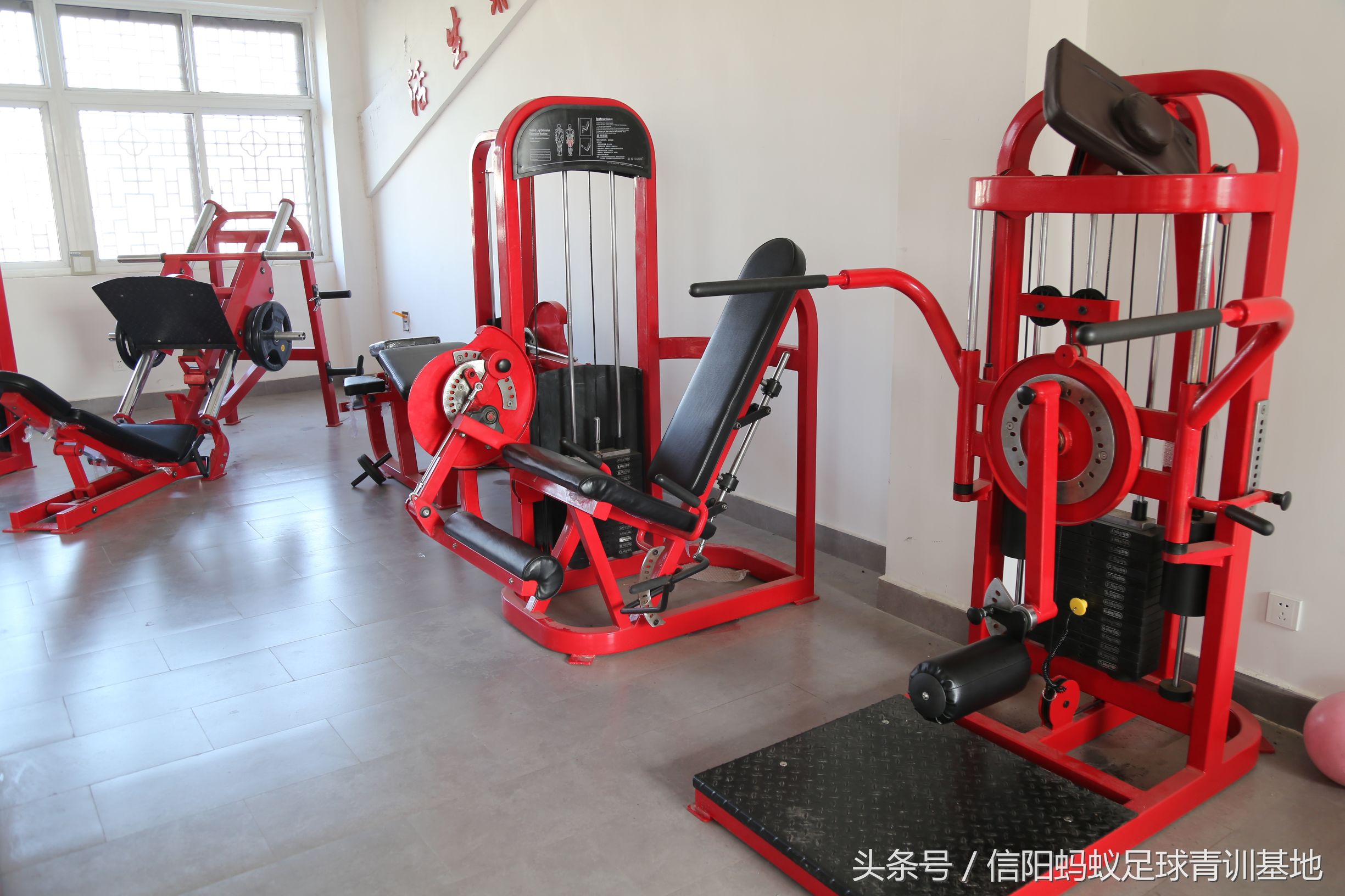 信阳蚂蚁足球俱乐部,信阳蚂蚁足球