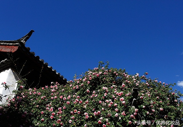 有诗和远方的地方,有诗和远方的故乡