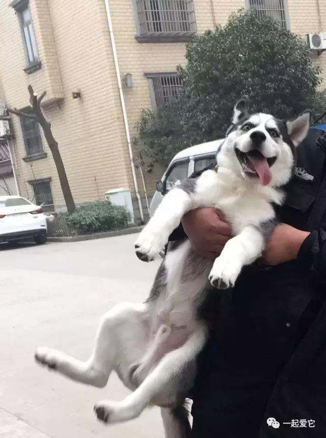 宠爱每一个故事,宠爱故事梗概