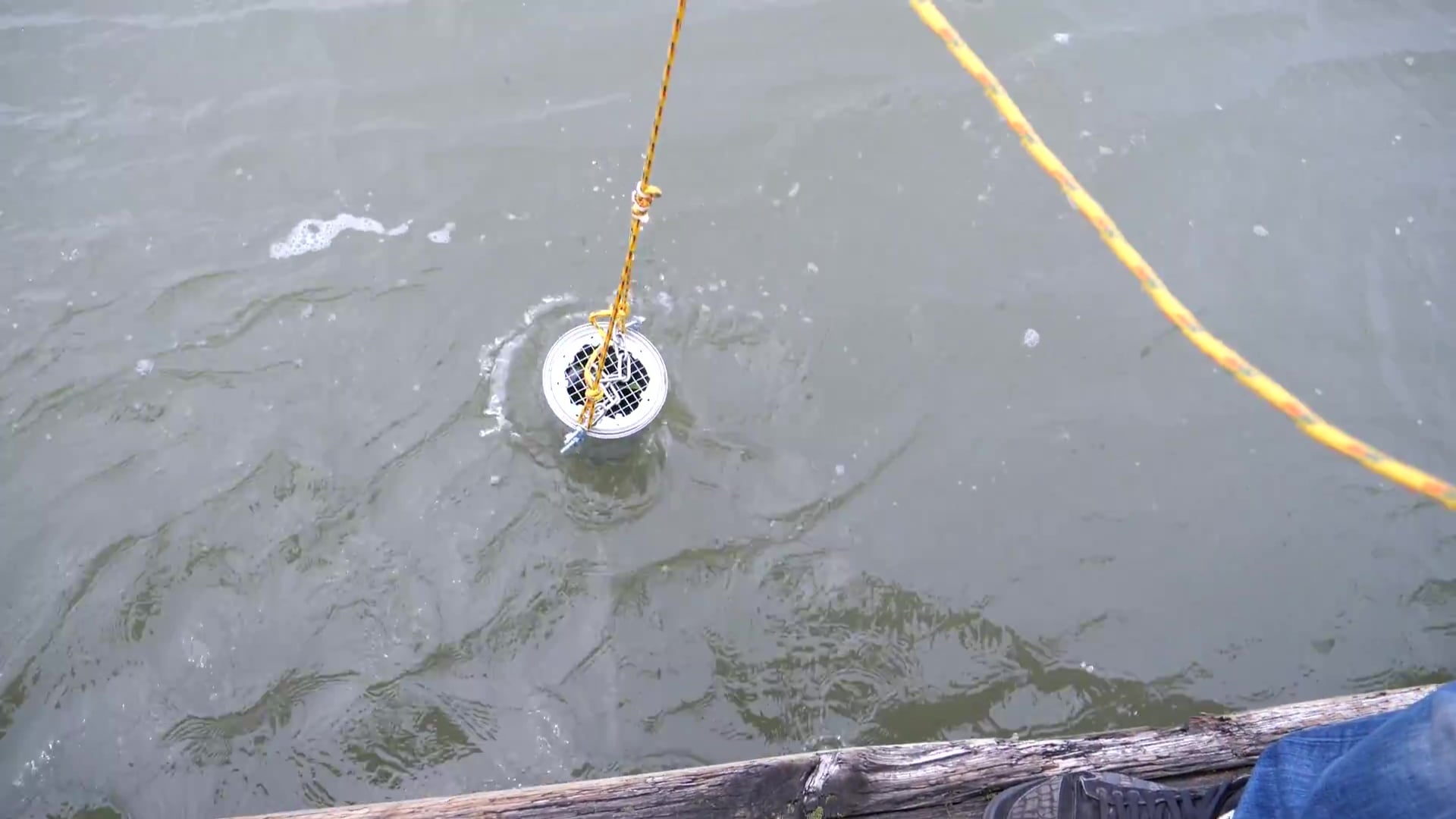 涓夋槦s8涓巌phone7plus瀵规瘮,iphone7plus鍜宨phone8plus鍖哄埆