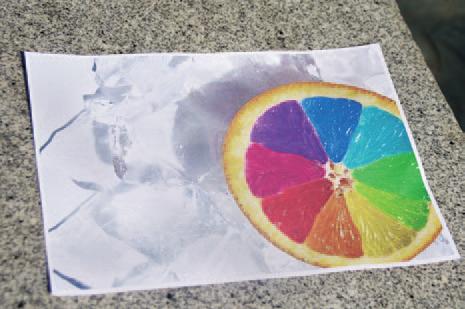 爱普生l655打印机操作方法,爱普生l805是白墨打印机吗