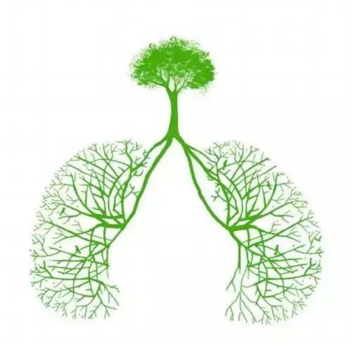 周围型肺癌病理分期,肺癌分期以病理为准还是以ct为准