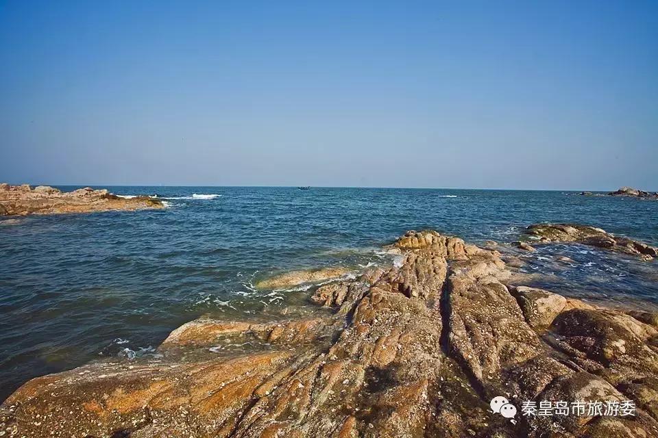 给所有秦皇岛人，这里有一份春天请你查收！