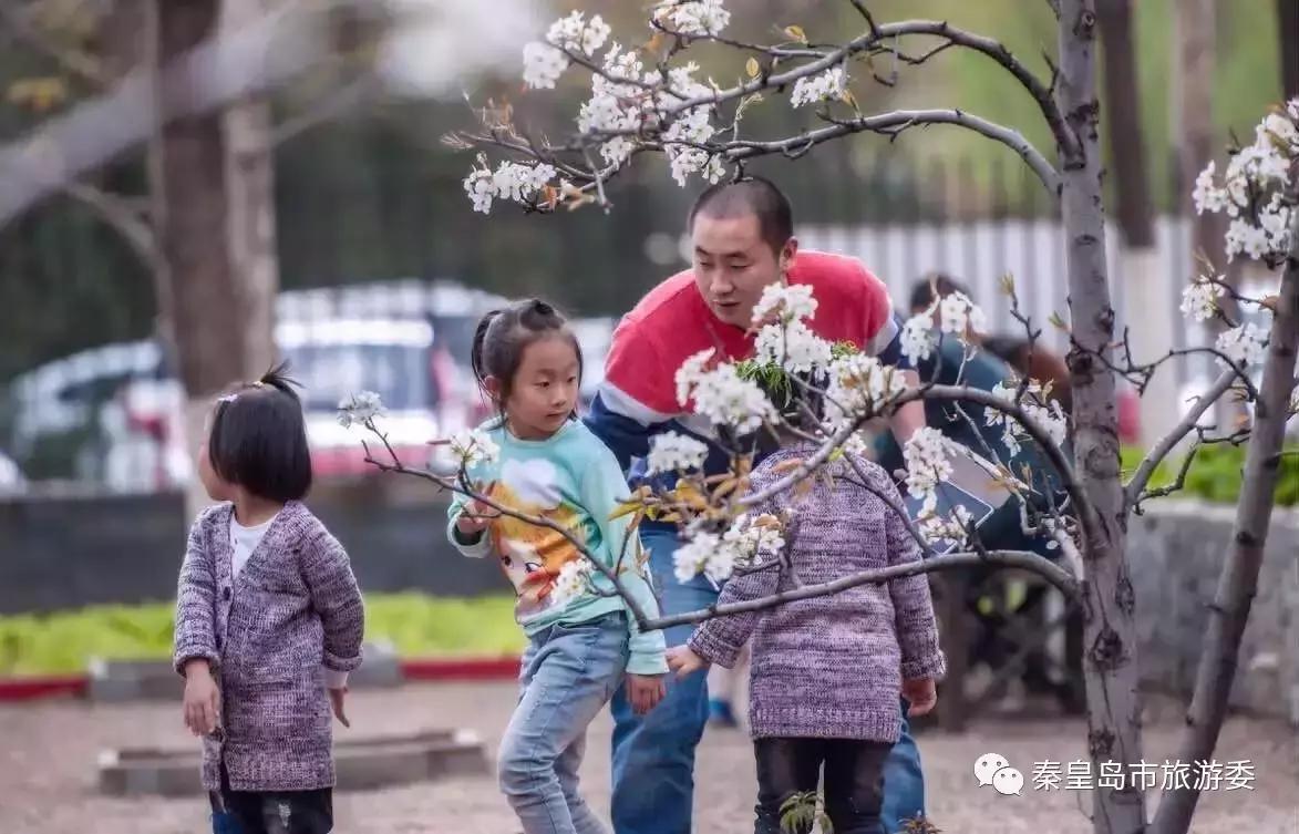 给所有秦皇岛人，这里有一份春天请你查收！