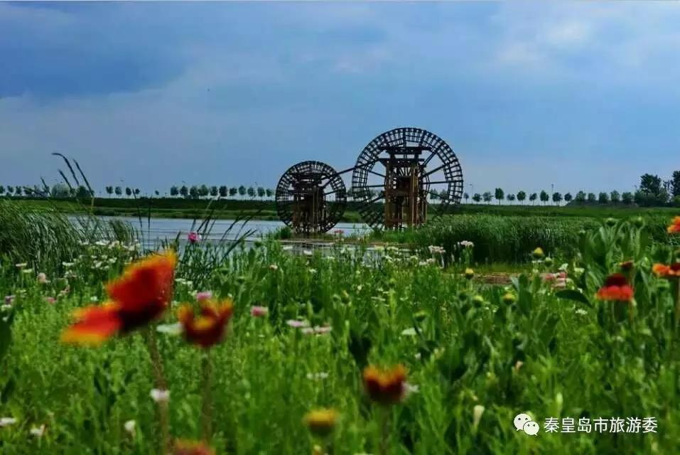 给所有秦皇岛人，这里有一份春天请你查收！