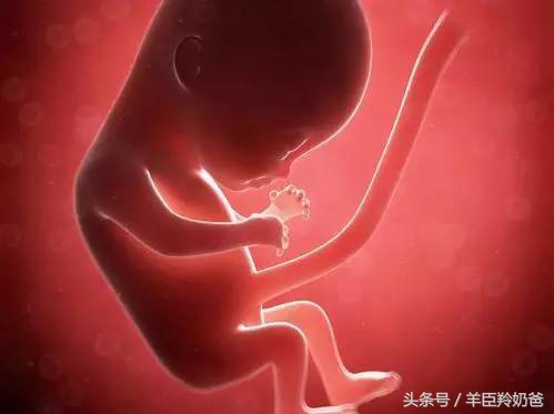 胎火重对胎儿有影响吗,胎火大怎么调理