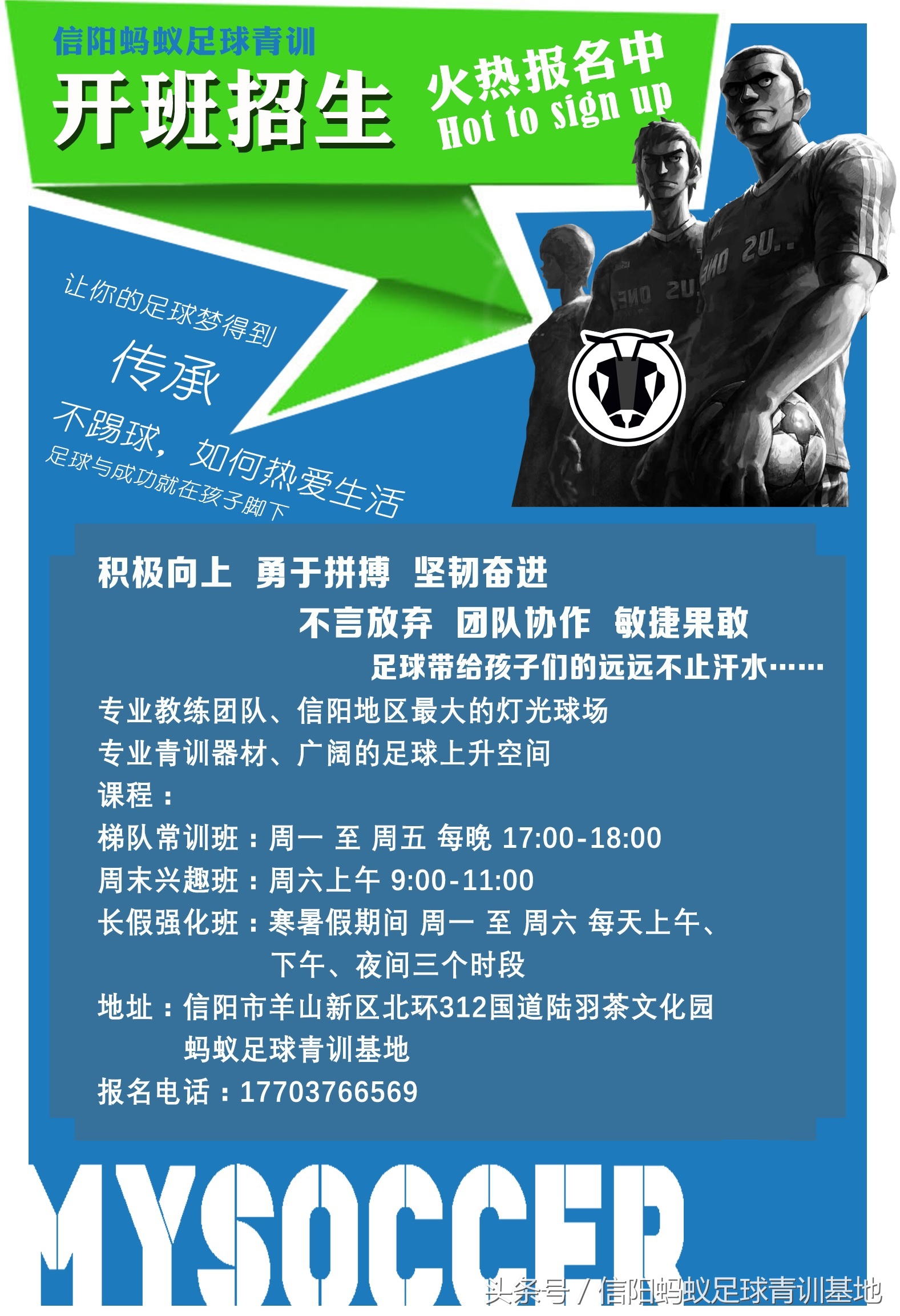 信阳蚂蚁足球俱乐部,信阳蚂蚁足球