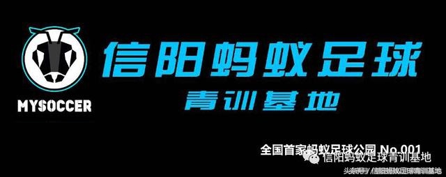 信阳蚂蚁足球俱乐部,信阳蚂蚁足球
