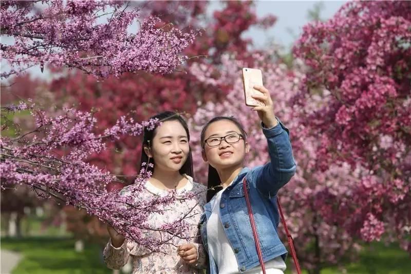 繁花似锦春天到来,繁花似锦的春天如约而至