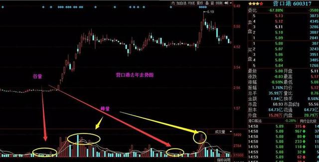 中国股市初学者怎么看,看中国股市的技巧