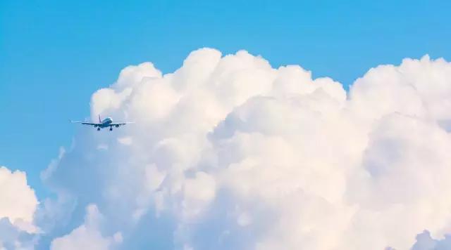 皮皮虾我们出去玩图片,皮皮虾我们一起去旅行