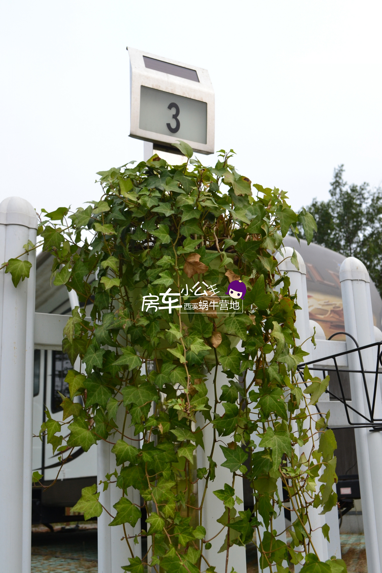 杭州西溪小蜗牛房车基地,杭州西溪蜗牛房车营地优惠团购