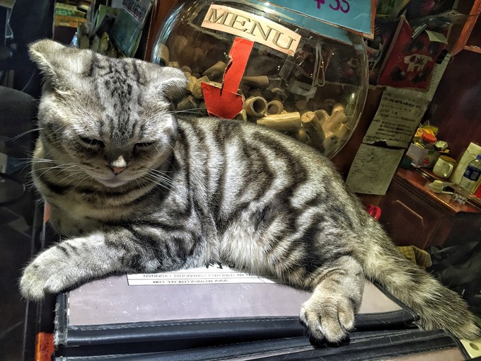 西北归来，我想说给你听，青海甘肃西安华山11天