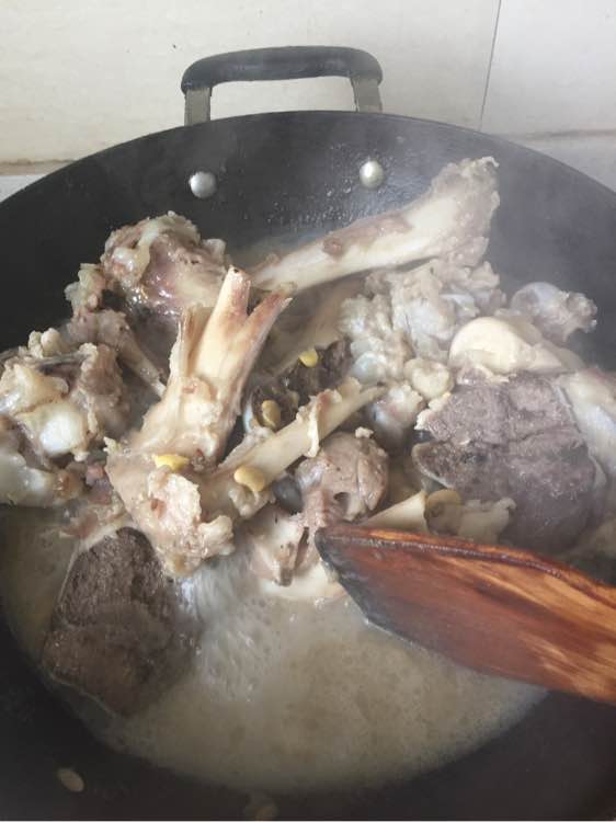 边牧狗狗怀孕多少天显肚子,边牧怀孕多久才可以照b超